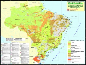 MAPA BRASIL DEVASTAÇÃO E MAMÍFEROS...