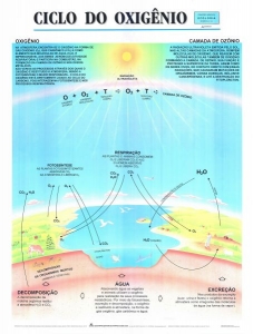 MAPA CICLO DO OXIGÊNIO