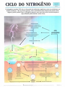 MAPA CICLO DO NITROGÊNIO