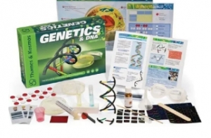 Genética Dna Kit Ciência Educacional...